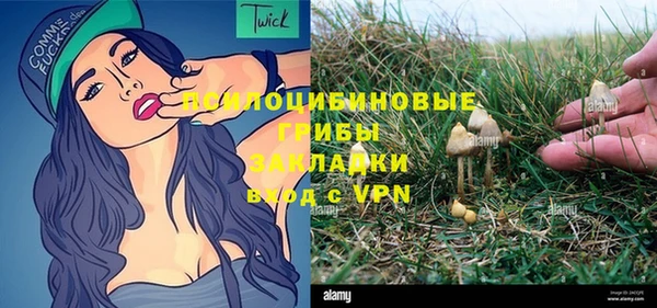 индика Осинники