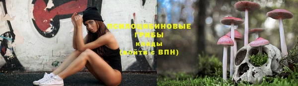 индика Осинники
