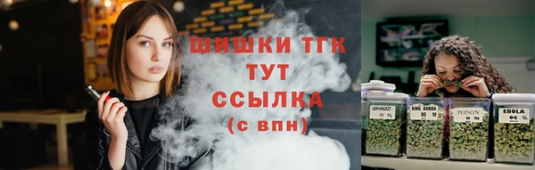индика Осинники