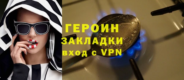 индика Осинники
