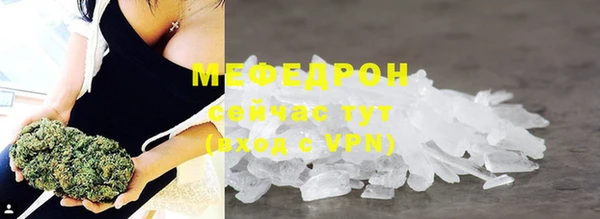 индика Осинники
