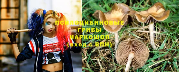 герыч Осташков
