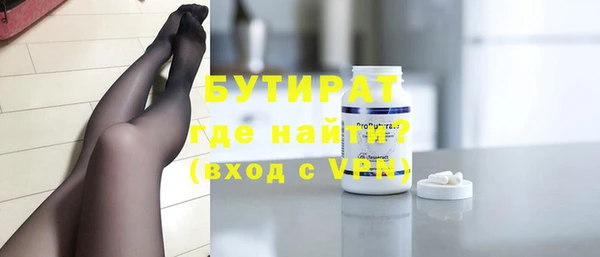 индика Осинники