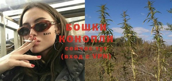 индика Осинники