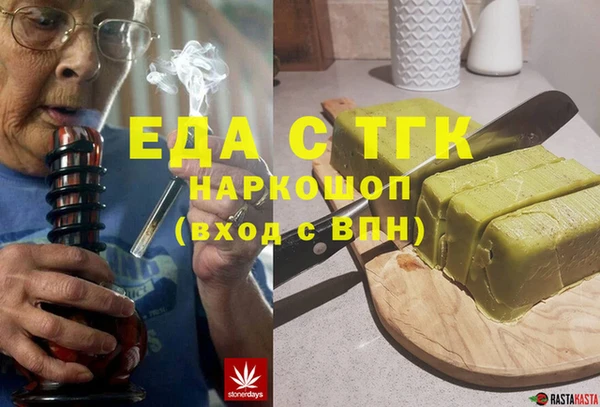 индика Осинники