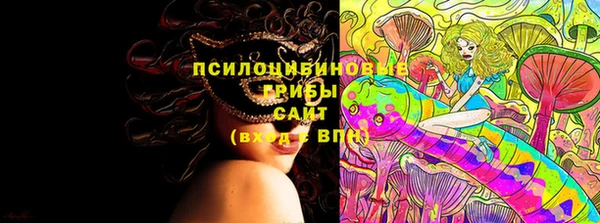индика Осинники