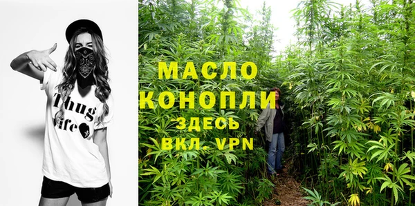 индика Осинники