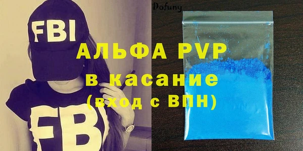 индика Осинники