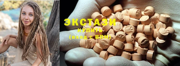 индика Осинники