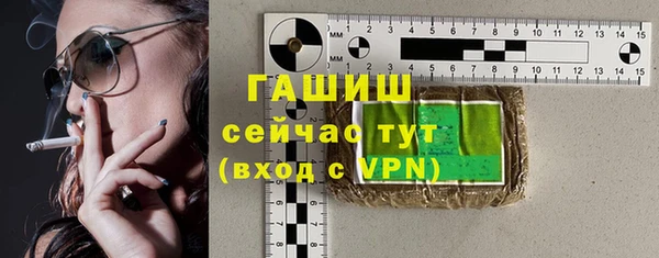индика Осинники