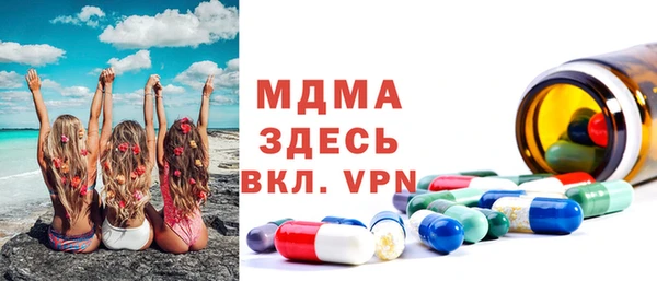 индика Осинники