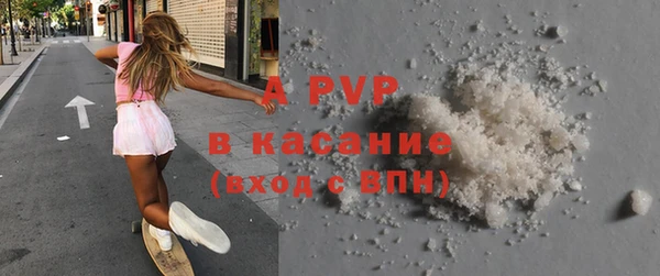 индика Осинники